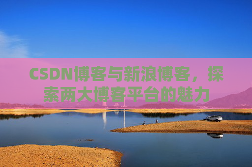 CSDN博客与新浪博客，探索两大博客平台的魅力